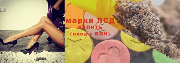 прущие грибы Гусь-Хрустальный