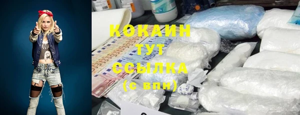 прущая мука Гусев