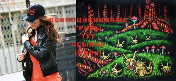 прущие грибы Гусь-Хрустальный