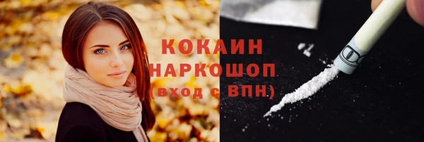 прущие грибы Гусь-Хрустальный