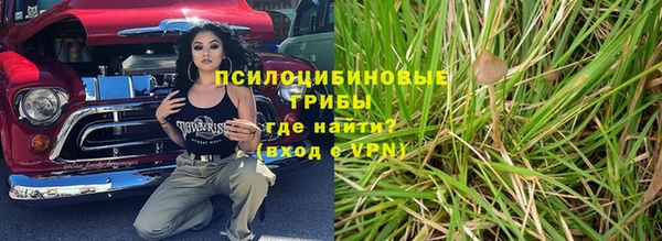 прущие грибы Гусь-Хрустальный