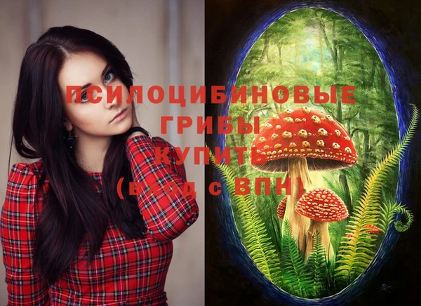 крисы Гусиноозёрск
