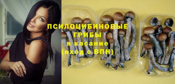 прущая мука Гусев